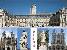 Partons  la dcouverte de la ville de Dijon, prfecture du dpartement de la Cte-d'Or, et o les habitants portent le gentil ...