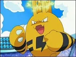 Elkid est un Pokmon de type...