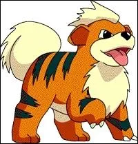 En quoi volue Caninos ?