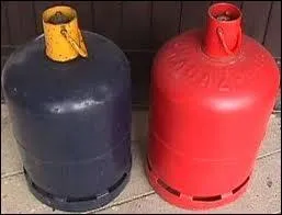 Depuis 1969, un mammifre plantigrade omnivore symbolise la marque  Butagaz .