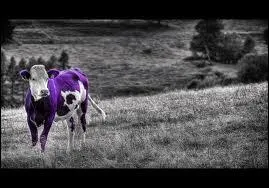 Copine de la Q4, elle travaille pour le mme chocolatier. Cette clbre vache enfile une robe d'un joli :