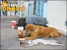 Comment s'intitule le moment de dtente aprs un match de foot ?