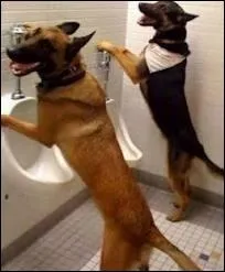 Dans le Tour de France, certains cyclistes passent des tests ...