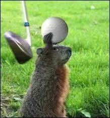 Comment s'appelle le petit support pour poser la balle au golf ?