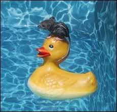 Les ballets aquatiques, ainsi que les films hollywoodiens, ont popularis ce sport dans les annes 1930.