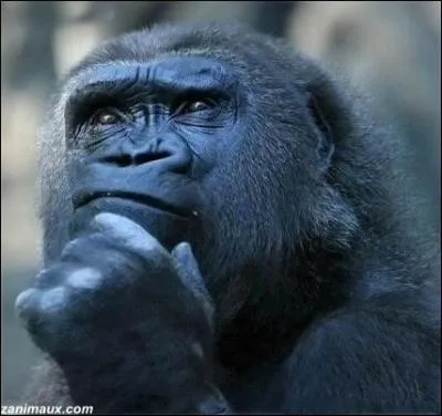 L'une des plus clbres sculptures en bronze d'Auguste Rodin ...