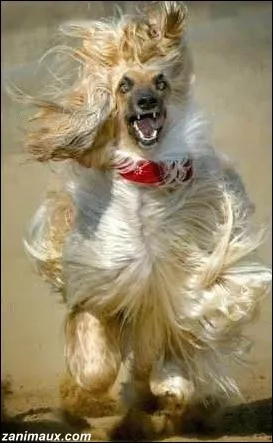 Personnage de Star Wars