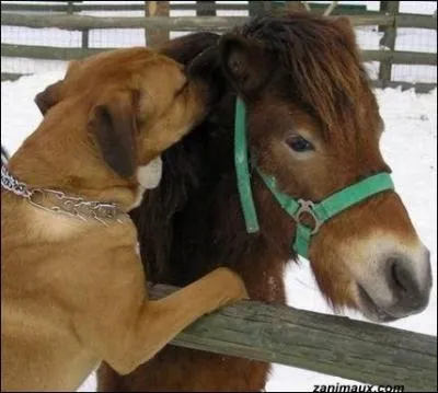 Parler  voix basse, trs bas.