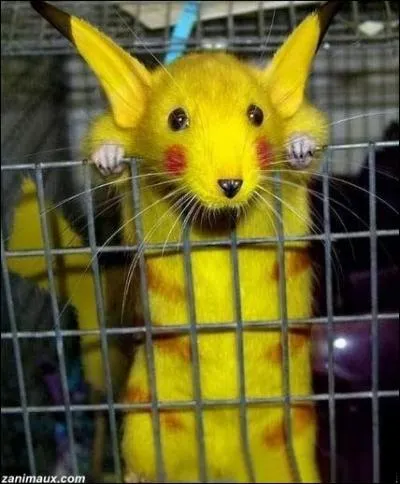 Casimir est son digne reprsentant.