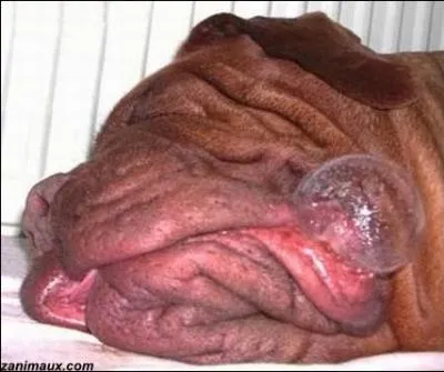 Expression populaire signifiant  se la couler douce  ...