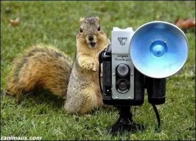 C'est lui qui tourne les scnes d'un film.