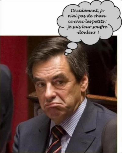 Qu'appelle-t-on la "Réduction Fillon" ?