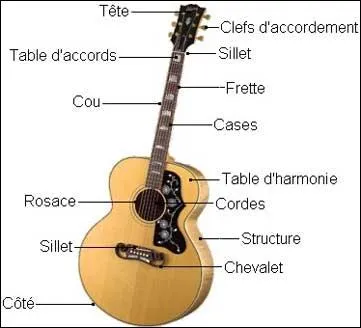 Quelle partie du corps, en argot, dsigne la guitare ?