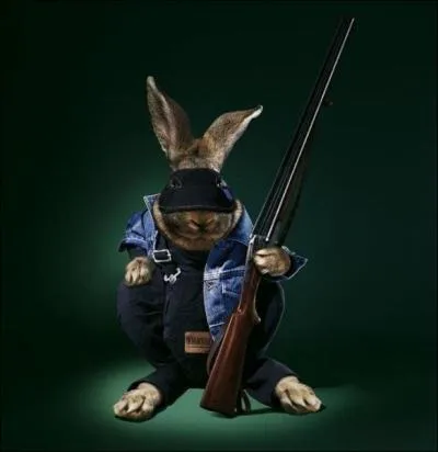 D'aprs elle, il semblerait que ce matin, les rles soient inverss !