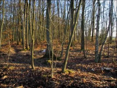 Les origines de la ville sont mal connues, mais une pe datant de l'ge du bronze a t retrouve lors d'un dragage de la Seine et est conserve au :