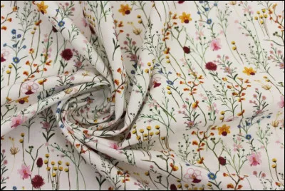 Délié, délicatesse et menu sont-ils des synonymes de finesse ?