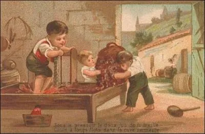 (... ) le vin nouveau de l'Automne