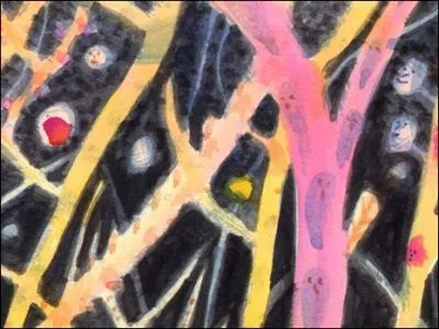 (... ) de nuit par notre amour ;