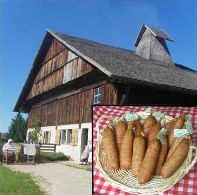 La saucisse de Morteau, appele galement la  Belle de Morteau  est une saucisse fume de manire traditionnelle. Quel nom porte ces chemines typiques ou sont fumes ces saucisses ?