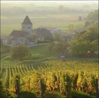 Laquelle de ces appellations n'est pas un vin issu des vignobles Francs-Comtois ?