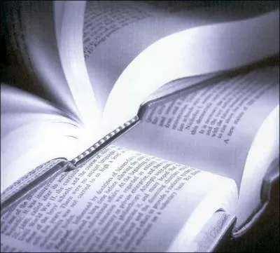 Quelle est la langue du Brsil ?