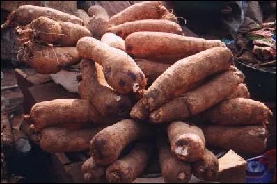 Au Qubec on appelle a des patates douces, des ...