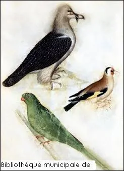 Extrait de l'une des œuvres parmi les plus importantes de l'art gothique lombard : parchemin de la fin du XIVe siècle. Découvrez-le à 50 kilomètres au nord-est de Milan.