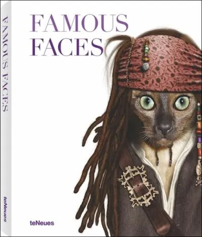 Ce chat vous donne bien le bonjour de Jack Sparrow !