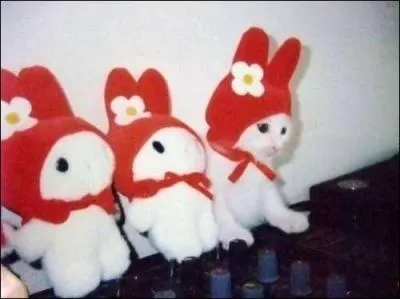 Un seul de ces trois petits lapins est rel !