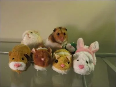 Comptez bien et vous trouverez sept peluches !