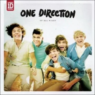 One Direction - What Makes You Beautiful :  To prove I'm right I put in a so-o-ong...