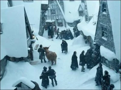 Dans "Harry Potter et l'Ordre du phénix", où Hermione donne-t-elle rendez-vous à Harry, Ron et aux autres élèves pour trouver un nouveau professeur contre les forces du Mal ?