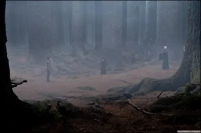 Dans "Harry Potter et les Reliques de la mort", grâce à quoi Harry Potter ne meurt-il pas dans la Forêt interdite ?