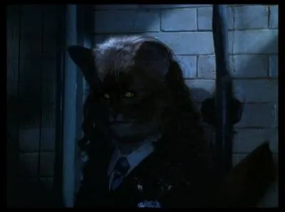 Dans "Harry Potter et la Chambre des secrets", Hermione boit du Polynectar mais se transforme en chat ! À qui appartenait le chat ?