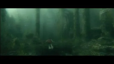 Dans "Harry Potter et la Coupe de feu", qui donne réellement la Branchiflore à Harry Potter ?