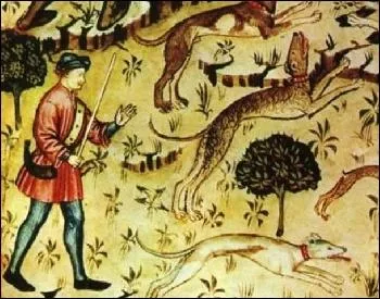 Regardez bien le parchemin. Les bois regorgeaient de gibier et la chasse était une pratique réservée aux seigneurs. Ils chassaient les cervidés, les sangliers, avec de magnifiques chiens, des :