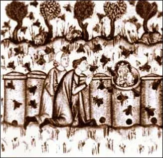 Après avoir fait un emprunt à taux exorbitant, il ne reste plus qu'à se consoler en travaillant encore plus ou en se jetant dans le gosier une pinte de "braggot". 
Qu'est-ce qui va nous réconforter ?