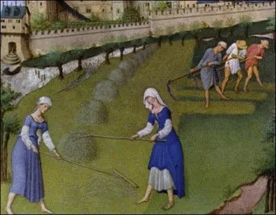 Après le fauchage manuel, ces paysannes forment des :