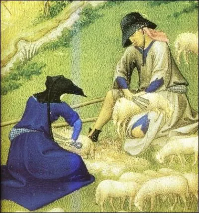 Pattes liées, le mouton est déposé sur une toile pour ne pas perdre un seul flocon de la toison. Le commerce de la laine fut un des plus prospères et ... le principal pays exportateur.