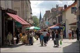 Les habitants de la ville de Sceaux portent le nom de ...