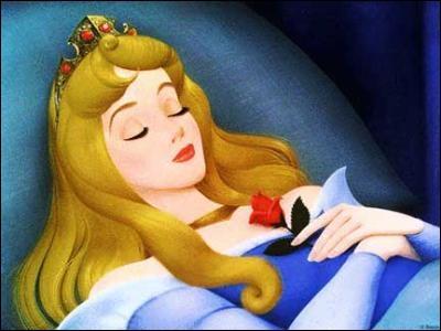 Comment s'appelle la princesse dans  La belle au bois dormant  ?
