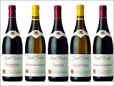 Eliminez la liste qui ne contient pas exclusivement les noms de vins de Bourgogne .