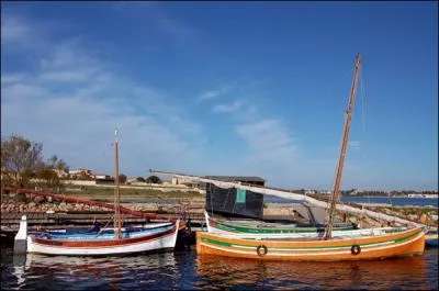 Allons ! Mangeons lger ! Faites-les cuire sur un feu de souches de vignes et, une fois ouvertes, garnissez le plat d'une sauce. Comment appelle-t-on cette prparation  raliser pour les amis ?