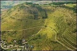 Afin de faire glisser comme il se doit tous ces mets savoureux, les membres de la confrrie ont slectionn un vin tranquille du plus grand vignoble de l'Aveyron.