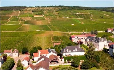 Avec la recette du canard aux navets vous accorderez un vin rouge, ventuellement  Vosne-Romane . De quel vignoble provient-il ? A votre sant !