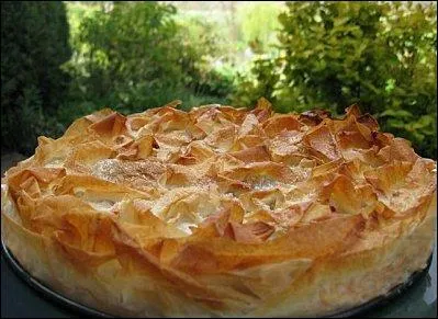 Je demande de la patience pour me prparer et je suis plat de rsistance ou gteau selon mon contenu. On me confectionnait et me consommait traditionnellement pour Carnaval, dans le Lot.