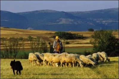 Vous prfrez des rissoles fourres aux pruneaux ? Avec qui partagerez-vous votre petit-djeuner ?