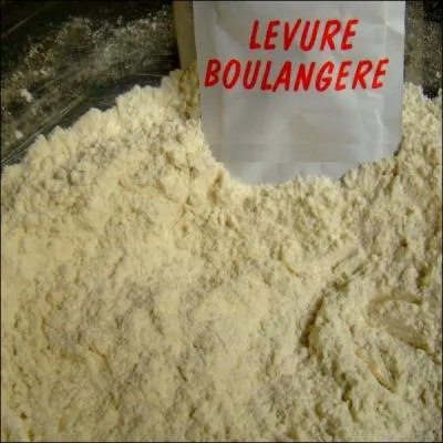 La levure s'emploie pour diverses fabrications. Retrouvez la bonne liste pour laquelle elle entre dans toutes les prparations.