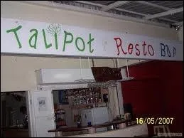 Que dsigne le mot  talipot  ?