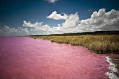 Le lac Rose, au Sngal, est un lac extrmement sal, o a lieu l'arrive du Paris-Dakar. Connaissez-vous l'origine de son nom ?